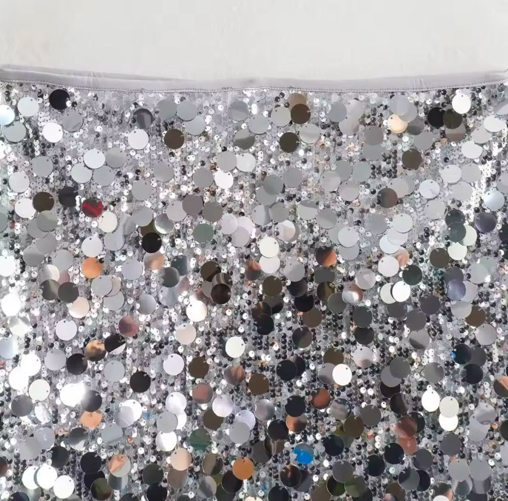 Sequin Skirt